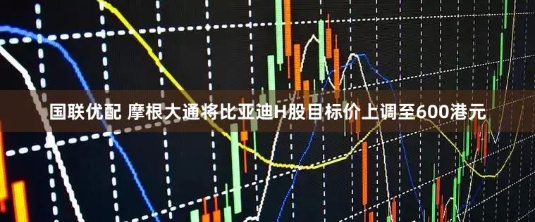 国联优配 摩根大通将比亚迪H股目标价上调至600港元