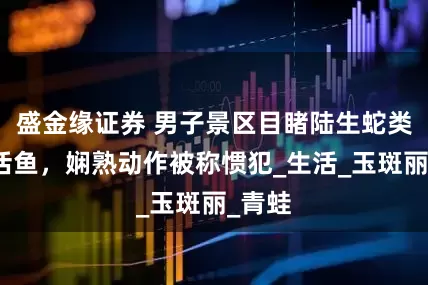 盛金缘证券 男子景区目睹陆生蛇类捕食活鱼，娴熟动作被称惯犯_生活_玉斑丽_青蛙